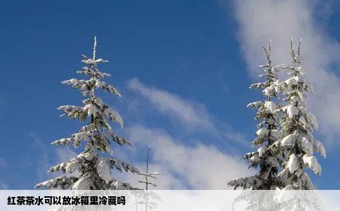 红茶茶水可以放冰箱里冷藏吗