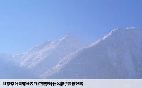 红茶茶叶是有分名的红茶茶叶什么牌子是最好喝