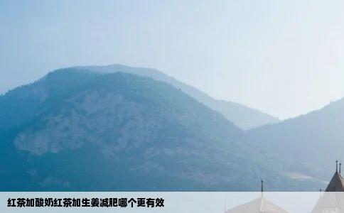 红茶加酸奶红茶加生姜减肥哪个更有效