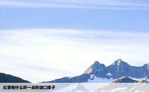 红茶有什么好一点的进口牌子