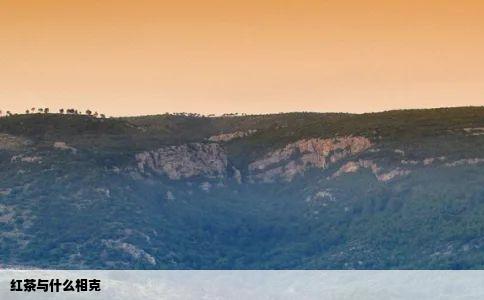 红茶与什么相克