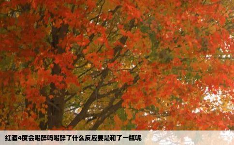 红酒4度会喝醉吗喝醉了什么反应要是和了一瓶呢