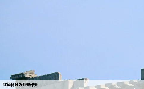 红酒杯分为那些种类