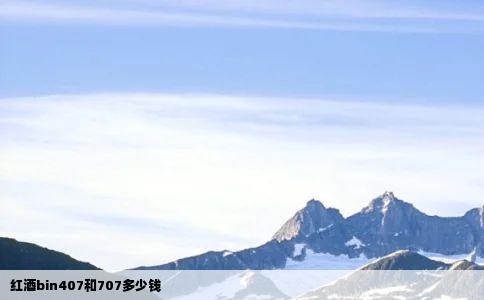 红酒bin407和707多少钱