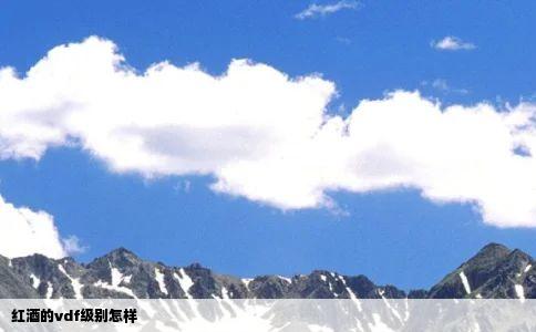 红酒的vdf级别怎样