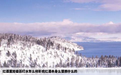 红酒里加些苏打水怎么样影响红酒本身么营养什么的