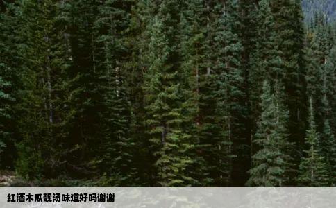 红酒木瓜靓汤味道好吗谢谢