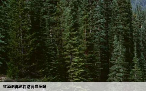红酒泡洋葱能防高血压吗