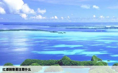 红酒销售要注意什么