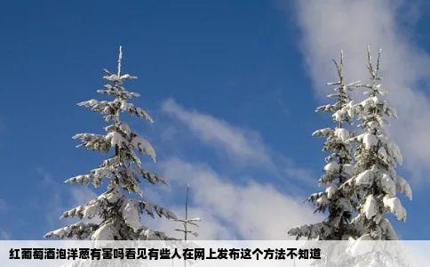 红葡萄酒泡洋葱有害吗看见有些人在网上发布这个方法不知道