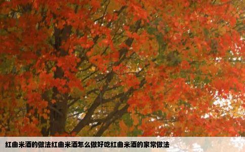 红曲米酒的做法红曲米酒怎么做好吃红曲米酒的家常做法