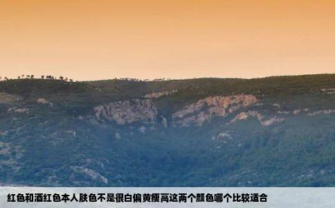 红色和酒红色本人肤色不是很白偏黄瘦高这两个颜色哪个比较适合