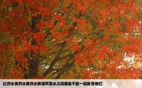 红药水黄药水紫药水碘酒双氧水之间哪些不能一起使用他们