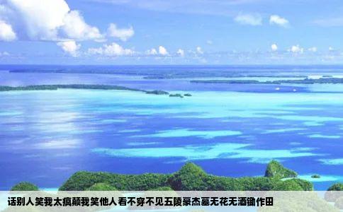 话别人笑我太疯颠我笑他人看不穿不见五陵豪杰墓无花无酒锄作田