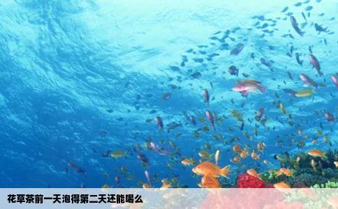 花草茶前一天泡得第二天还能喝么