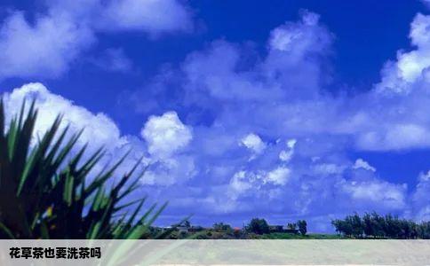 花草茶也要洗茶吗