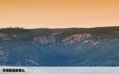 花茶能隔夜喝么