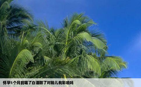 怀孕1个月前喝了白酒醉了对胎儿有影响吗