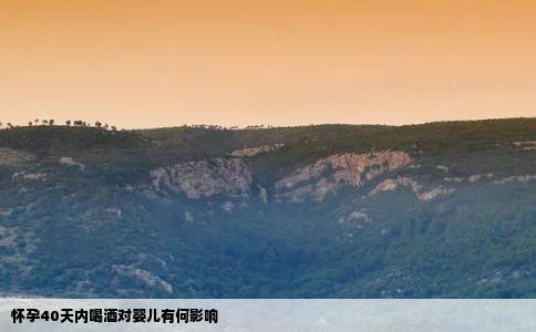 怀孕40天内喝酒对婴儿有何影响