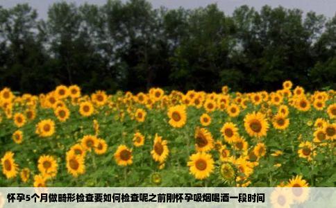 怀孕5个月做畸形检查要如何检查呢之前刚怀孕吸烟喝酒一段时间