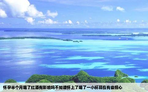 怀孕半个月喝了红酒有影响吗不知道怀上了喝了一小杯现在有些担心