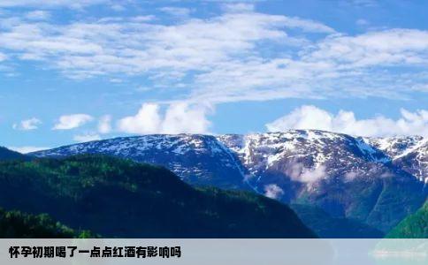 怀孕初期喝了一点点红酒有影响吗