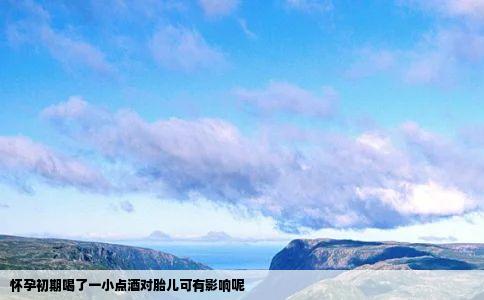 怀孕初期喝了一小点酒对胎儿可有影响呢