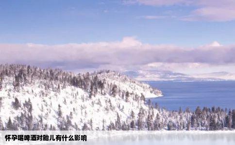 怀孕喝啤酒对胎儿有什么影响