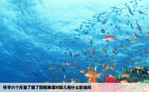 怀孕六个月整了喝了四瓶啤酒对胎儿有什么影响吗