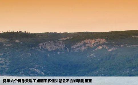怀孕六个月昨天喝了点酒不多但头晕会不会影响到宝宝