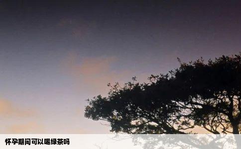 怀孕期间可以喝绿茶吗