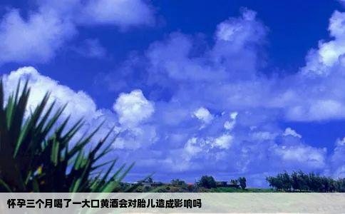 怀孕三个月喝了一大口黄酒会对胎儿造成影响吗