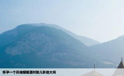 怀孕一个月抽烟喝酒对胎儿影响大吗