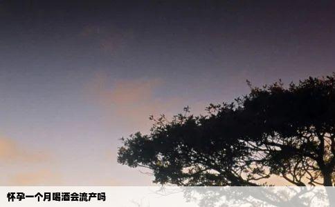 怀孕一个月喝酒会流产吗