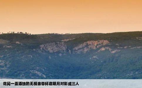 花间一壶酒独酌无相亲举杯邀明月对影成三人