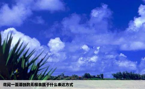 花间一壶酒独酌无相亲属于什么表达方式