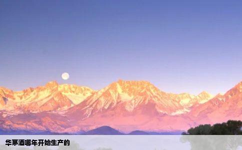 华茅酒哪年开始生产的