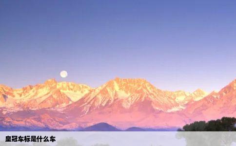 皇冠车标是什么车