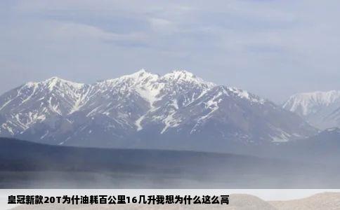 皇冠新款20T为什油耗百公里16几升我想为什么这么高