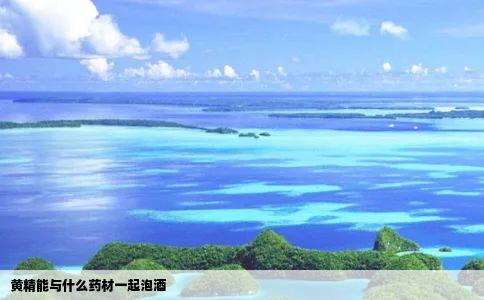 黄精能与什么药材一起泡酒