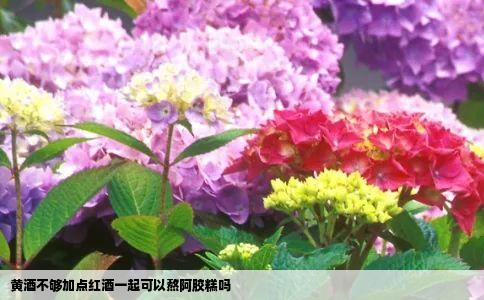 黄酒不够加点红酒一起可以熬阿胶糕吗