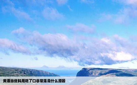 黄酒当佐料用吃了口非常渴是什么原因