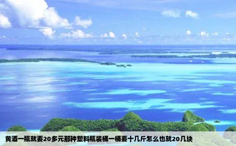 黄酒一瓶就要20多元那种塑料瓶装桶一桶要十几斤怎么也就20几块