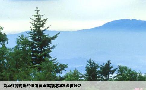 黄酒猪蹄炖鸡的做法黄酒猪蹄炖鸡怎么做好吃