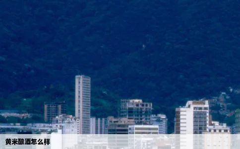 黄米酿酒怎么样