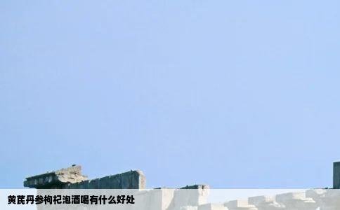 黄芪丹参枸杞泡酒喝有什么好处