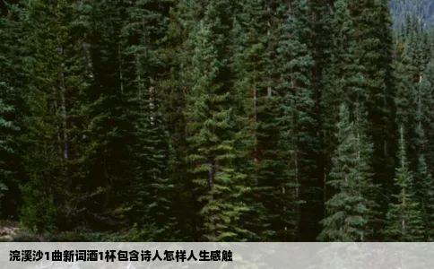 浣溪沙1曲新词酒1杯包含诗人怎样人生感触
