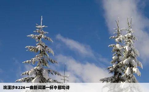 浣溪沙8226一曲新词酒一杯中那句诗