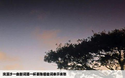 浣溪沙一曲新词酒一杯晏殊哪些词表示哀愁