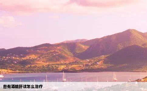 患有酒精肝该怎么治疗
